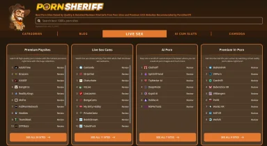 Porn Sheriff