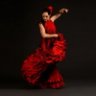flamenco