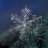 DeepBank5