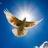 Release
